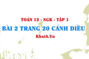 Bài 2 trang 20 Toán 12 tập 1 Cánh Diều